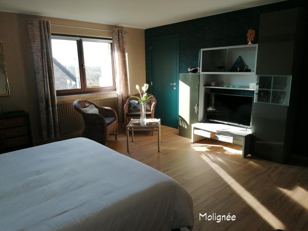 Le Cerisier Bed and Breakfast Bioul Εξωτερικό φωτογραφία